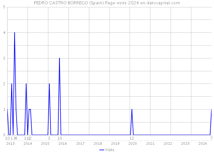 PEDRO CASTRO BORREGO (Spain) Page visits 2024 