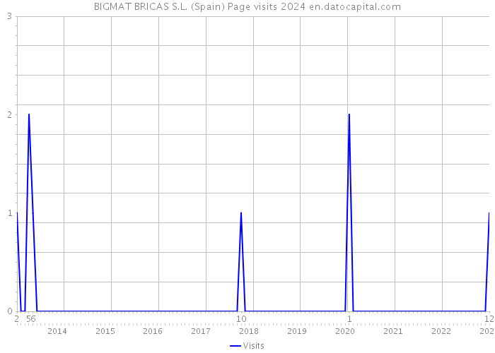 BIGMAT BRICAS S.L. (Spain) Page visits 2024 