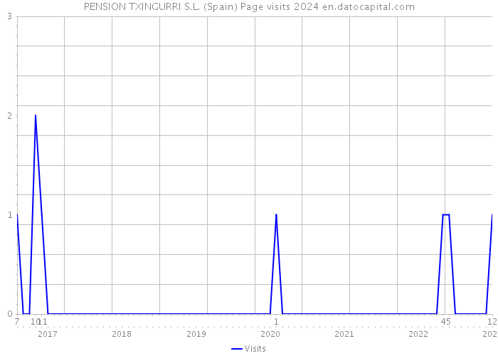 PENSION TXINGURRI S.L. (Spain) Page visits 2024 