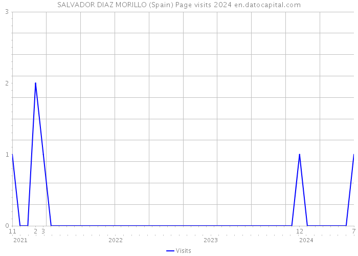 SALVADOR DIAZ MORILLO (Spain) Page visits 2024 