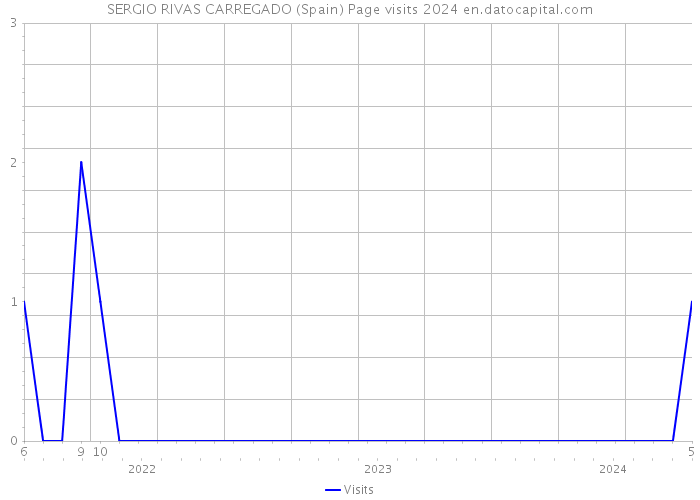 SERGIO RIVAS CARREGADO (Spain) Page visits 2024 