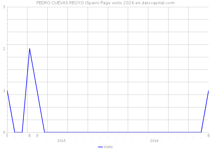 PEDRO CUEVAS REOYO (Spain) Page visits 2024 