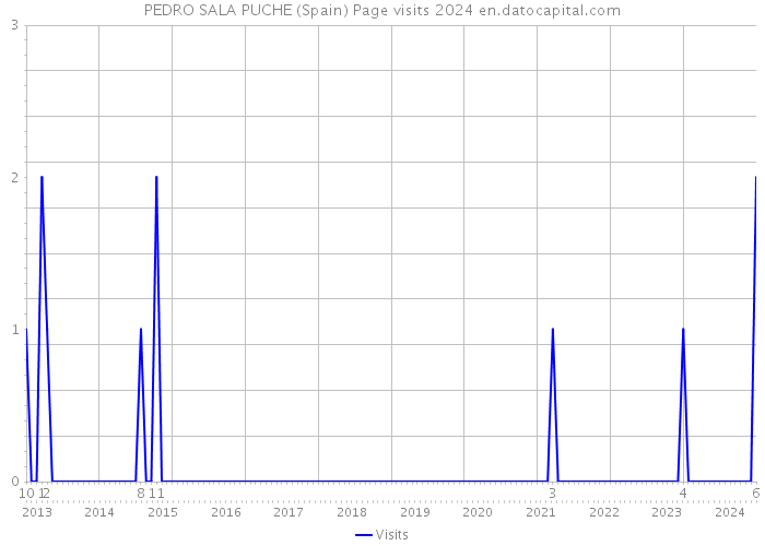PEDRO SALA PUCHE (Spain) Page visits 2024 