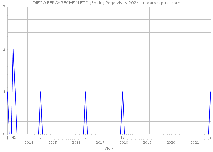 DIEGO BERGARECHE NIETO (Spain) Page visits 2024 