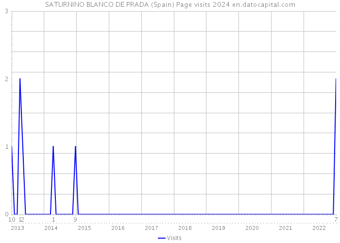SATURNINO BLANCO DE PRADA (Spain) Page visits 2024 