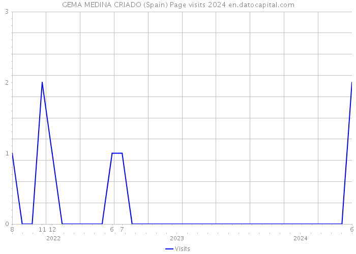 GEMA MEDINA CRIADO (Spain) Page visits 2024 