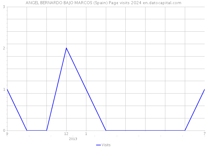 ANGEL BERNARDO BAJO MARCOS (Spain) Page visits 2024 