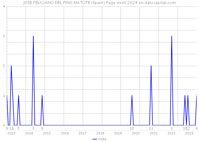 JOSE FELICIANO DEL PINO MATUTE (Spain) Page visits 2024 