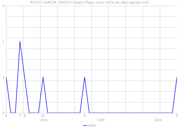 ROCIO GARCIA CANCIO (Spain) Page visits 2024 
