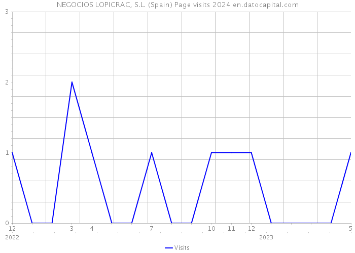 NEGOCIOS LOPICRAC, S.L. (Spain) Page visits 2024 