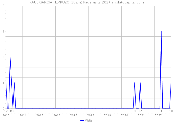 RAUL GARCIA HERRUZO (Spain) Page visits 2024 