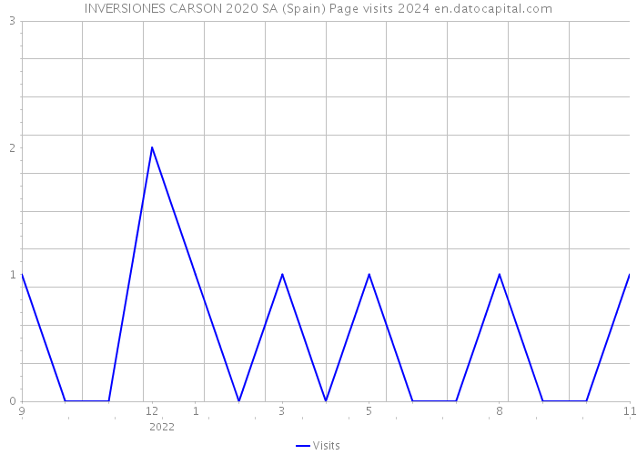 INVERSIONES CARSON 2020 SA (Spain) Page visits 2024 