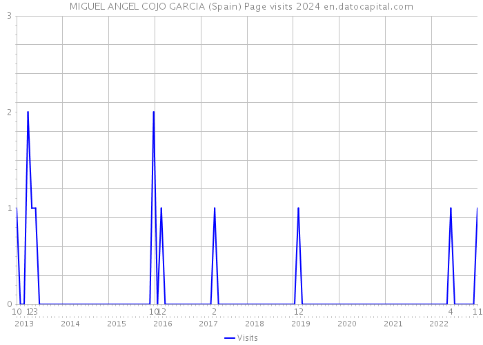 MIGUEL ANGEL COJO GARCIA (Spain) Page visits 2024 