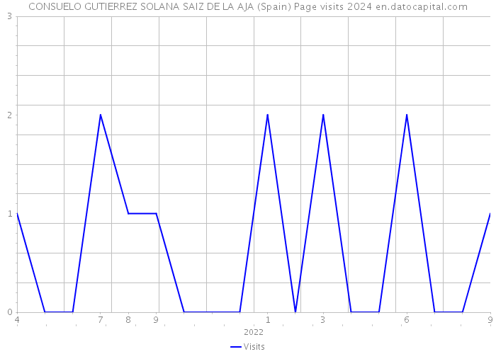 CONSUELO GUTIERREZ SOLANA SAIZ DE LA AJA (Spain) Page visits 2024 