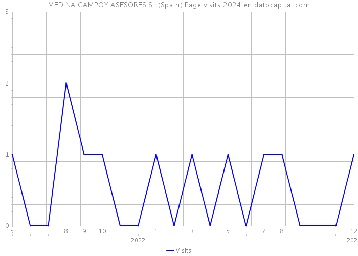 MEDINA CAMPOY ASESORES SL (Spain) Page visits 2024 