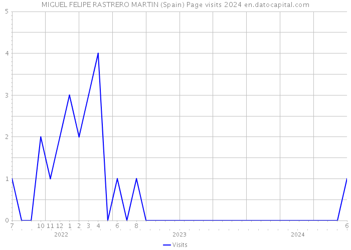 MIGUEL FELIPE RASTRERO MARTIN (Spain) Page visits 2024 