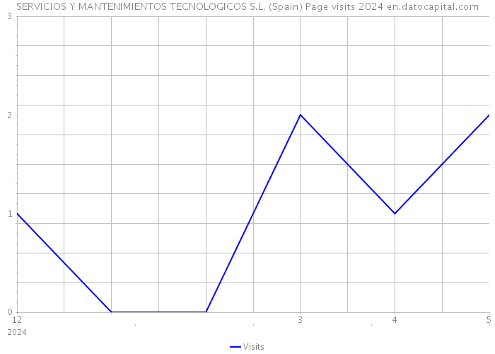 SERVICIOS Y MANTENIMIENTOS TECNOLOGICOS S.L. (Spain) Page visits 2024 