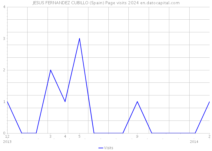 JESUS FERNANDEZ CUBILLO (Spain) Page visits 2024 