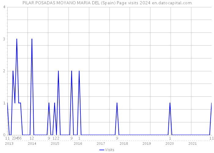 PILAR POSADAS MOYANO MARIA DEL (Spain) Page visits 2024 