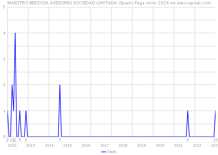 MAESTRO BERZOSA ASESORES SOCIEDAD LIMITADA (Spain) Page visits 2024 