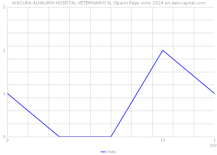 ANICURA ALHAURIN HOSPITAL VETERINARIO SL (Spain) Page visits 2024 