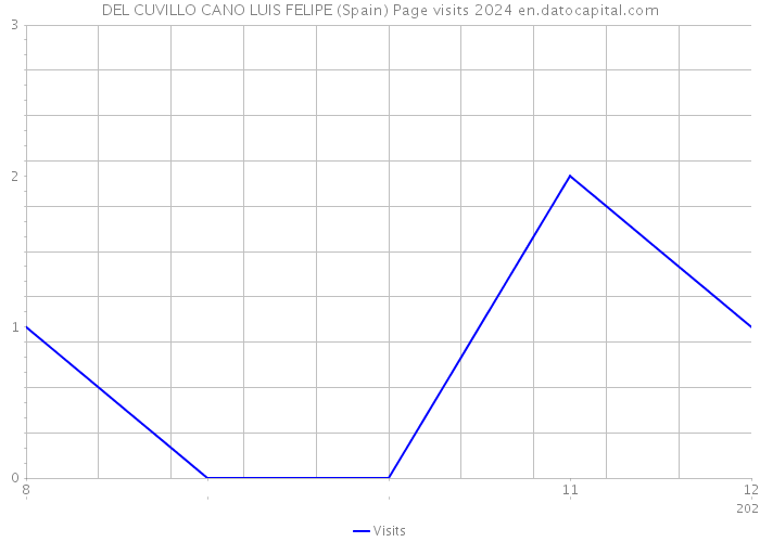DEL CUVILLO CANO LUIS FELIPE (Spain) Page visits 2024 