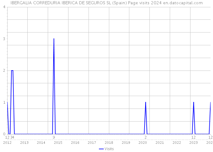 IBERGALIA CORREDURIA IBERICA DE SEGUROS SL (Spain) Page visits 2024 