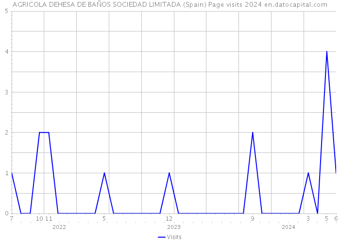 AGRICOLA DEHESA DE BAÑOS SOCIEDAD LIMITADA (Spain) Page visits 2024 