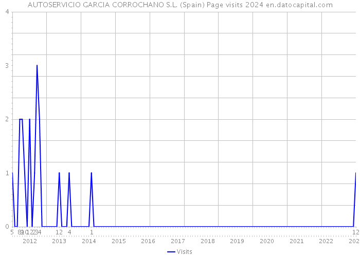 AUTOSERVICIO GARCIA CORROCHANO S.L. (Spain) Page visits 2024 