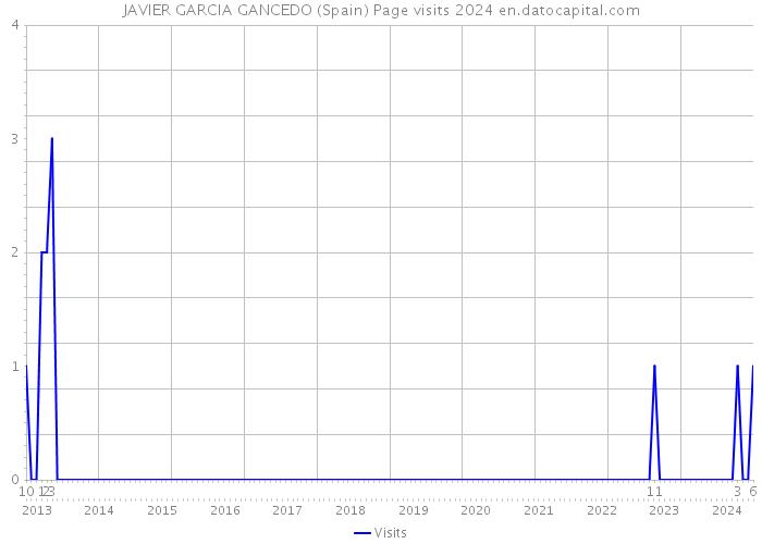 JAVIER GARCIA GANCEDO (Spain) Page visits 2024 