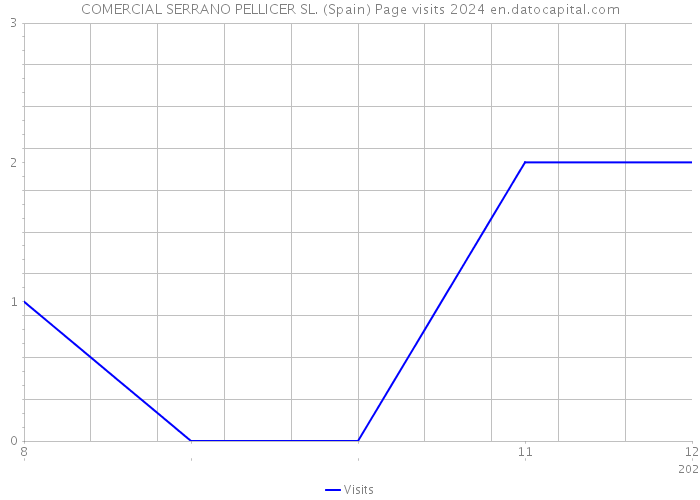 COMERCIAL SERRANO PELLICER SL. (Spain) Page visits 2024 