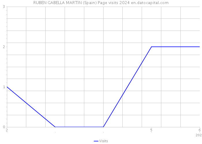 RUBEN GABELLA MARTIN (Spain) Page visits 2024 