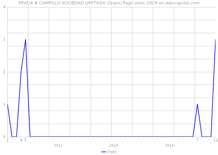 PRADA & CAMPILLO SOCIEDAD LIMITADA (Spain) Page visits 2024 