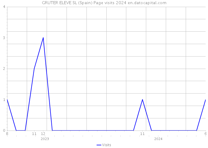 GRUTER ELEVE SL (Spain) Page visits 2024 