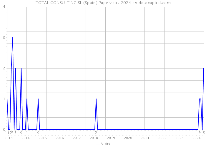 TOTAL CONSULTING SL (Spain) Page visits 2024 