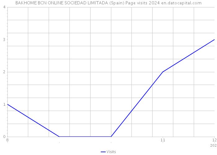 BAKHOME BCN ONLINE SOCIEDAD LIMITADA (Spain) Page visits 2024 