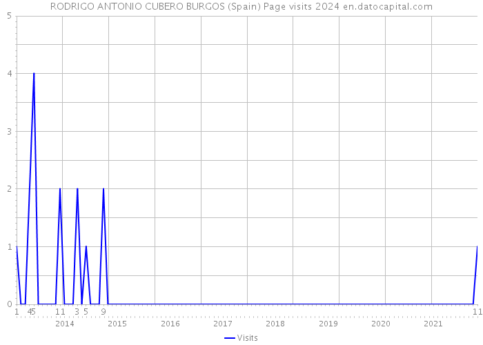 RODRIGO ANTONIO CUBERO BURGOS (Spain) Page visits 2024 