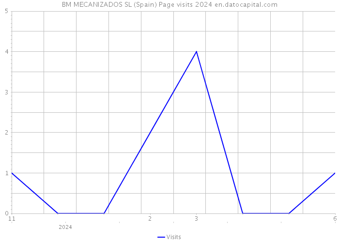 BM MECANIZADOS SL (Spain) Page visits 2024 