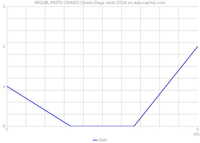 MIGUEL PINTO CRIADO (Spain) Page visits 2024 