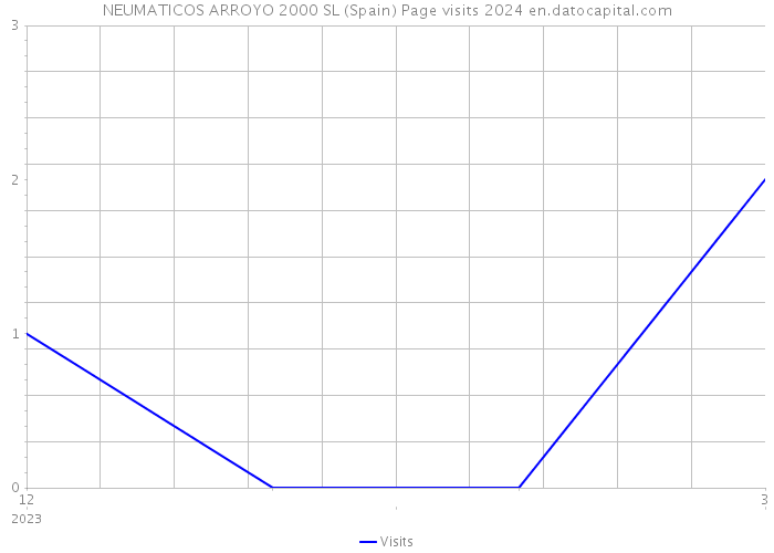 NEUMATICOS ARROYO 2000 SL (Spain) Page visits 2024 