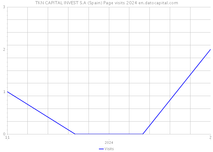TKN CAPITAL INVEST S.A (Spain) Page visits 2024 