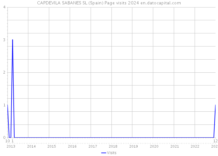 CAPDEVILA SABANES SL (Spain) Page visits 2024 