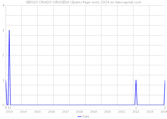 SERGIO CRIADO CIRUGEDA (Spain) Page visits 2024 