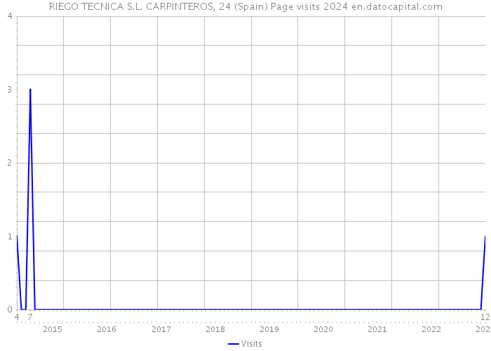 RIEGO TECNICA S.L. CARPINTEROS, 24 (Spain) Page visits 2024 