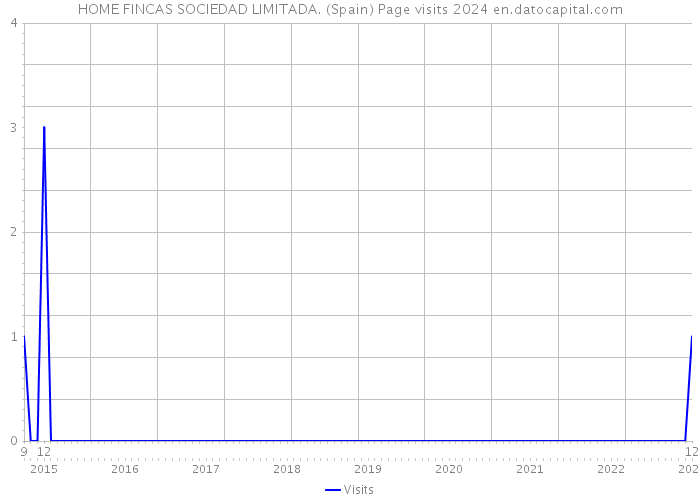 HOME FINCAS SOCIEDAD LIMITADA. (Spain) Page visits 2024 