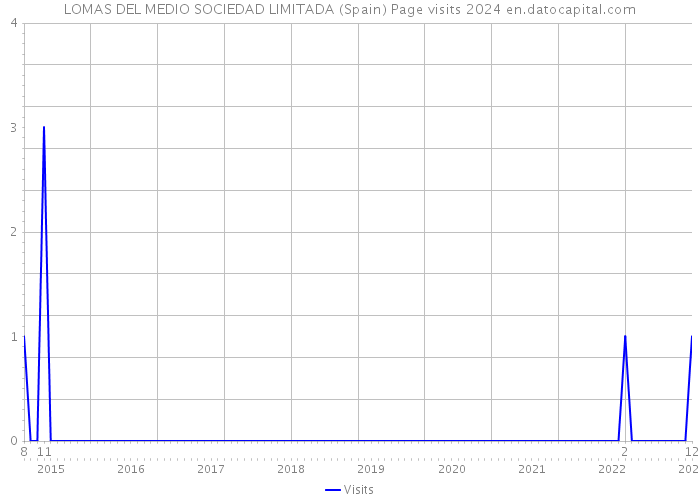 LOMAS DEL MEDIO SOCIEDAD LIMITADA (Spain) Page visits 2024 