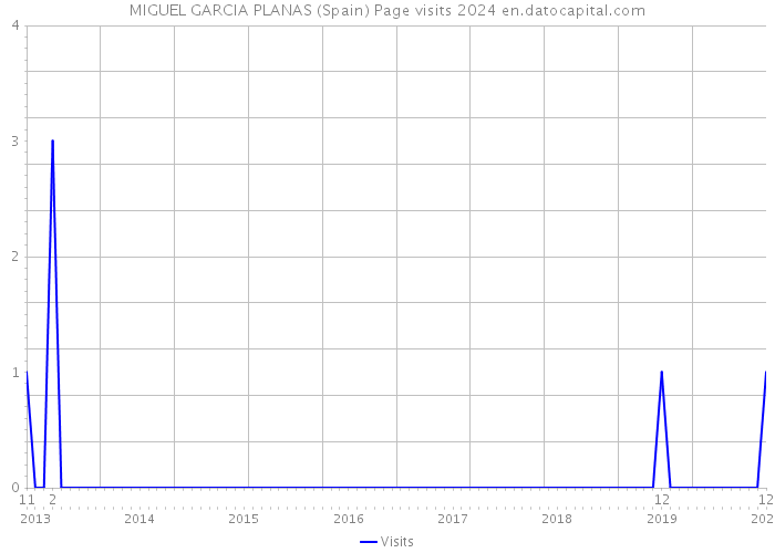 MIGUEL GARCIA PLANAS (Spain) Page visits 2024 