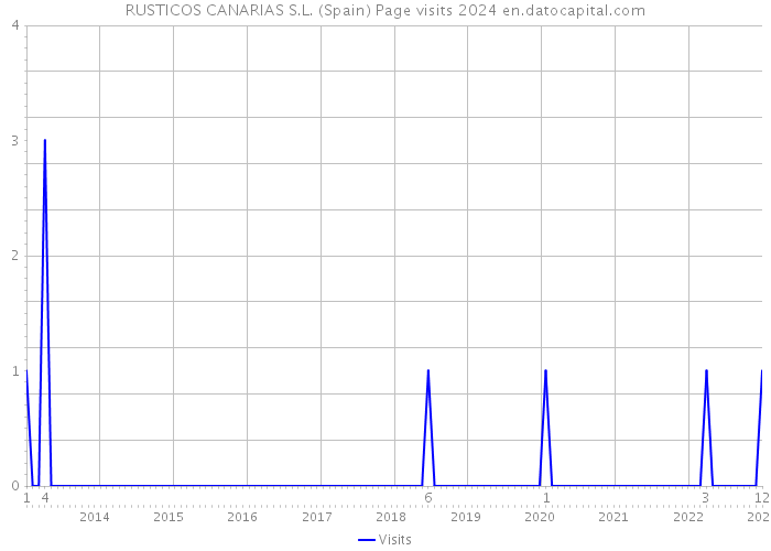 RUSTICOS CANARIAS S.L. (Spain) Page visits 2024 