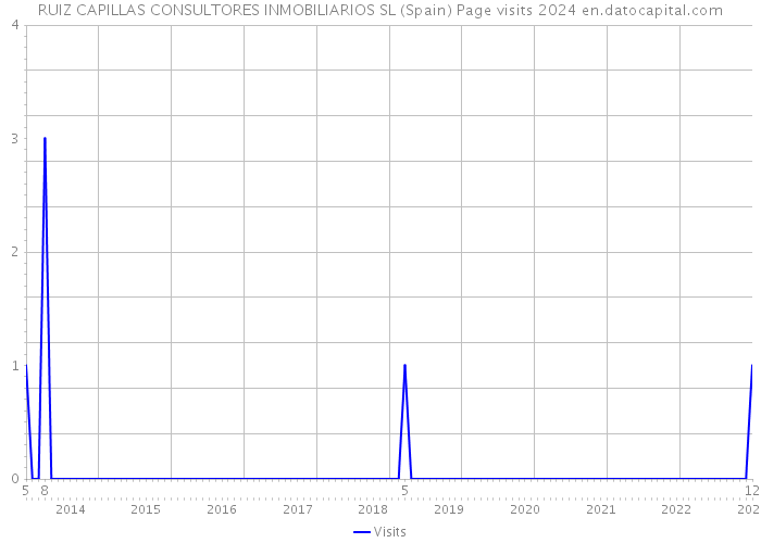 RUIZ CAPILLAS CONSULTORES INMOBILIARIOS SL (Spain) Page visits 2024 