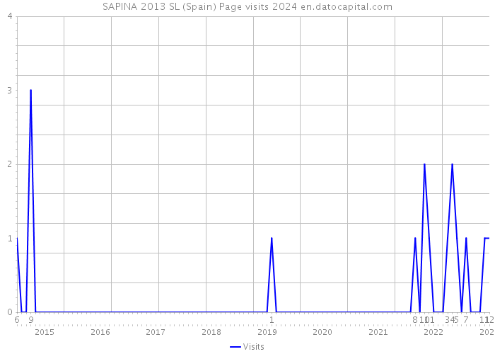 SAPINA 2013 SL (Spain) Page visits 2024 